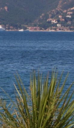 Méditerranée Cannes