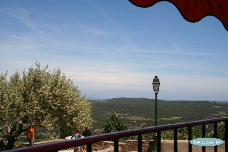 Vue de la terrasse du restau, Olivier, mediterran�e